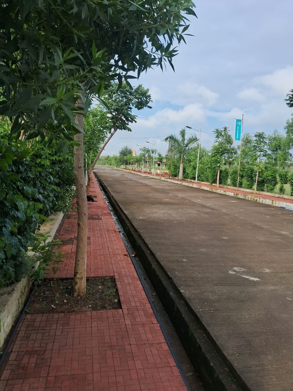 Taj Project Construction